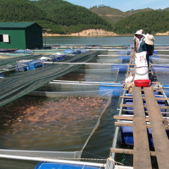Tiềm năng nuôi trồng thủy sản bằng hồ chứa